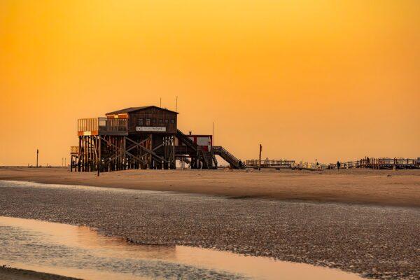 White Sand Paradise